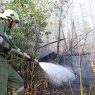 Waldbrand Ro__this06.jpg