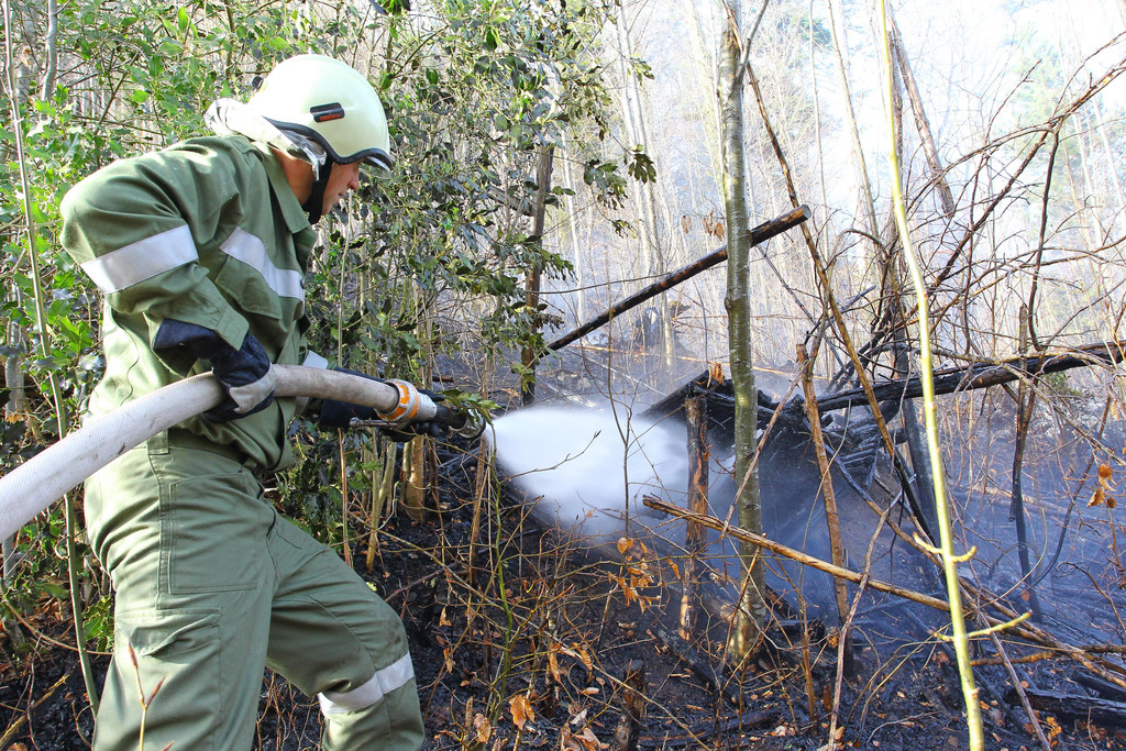 Waldbrand Ro__this07.jpg