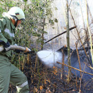 Waldbrand Ro__this07.jpg