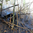 Waldbrand Ro__this08.jpg