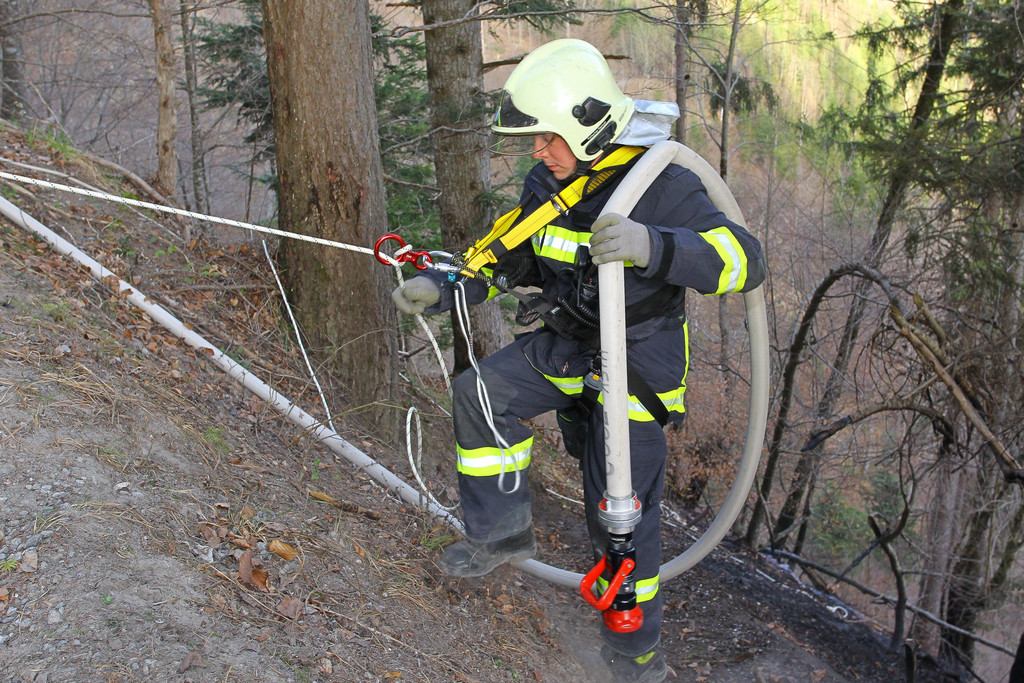 Waldbrand Ro__this10.jpg