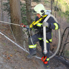 Waldbrand Ro__this10.jpg