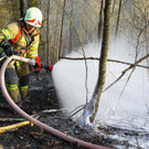 Waldbrand Ro__this19.jpg