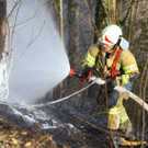 Waldbrand Ro__this20.jpg