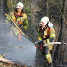 Waldbrand Ro__this22.jpg