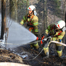 Waldbrand Ro__this23.jpg