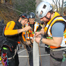 Waldbrand Ro__this33.jpg