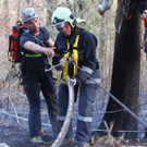 Waldbrand Ro__this43.jpg