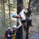 Waldbrand Ro__this45.jpg