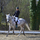 DSC_6134.JPG