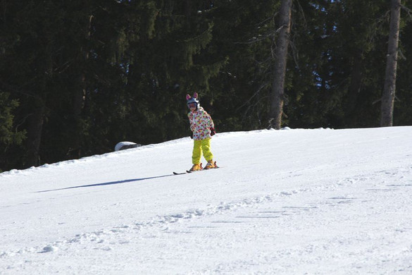 _MG_2038.jpg