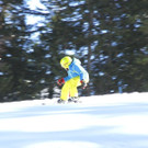 _MG_2122.jpg
