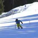 _MG_2210.jpg