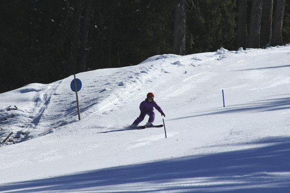 _MG_2243.jpg