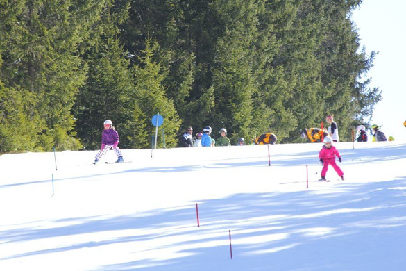 _MG_2255.jpg