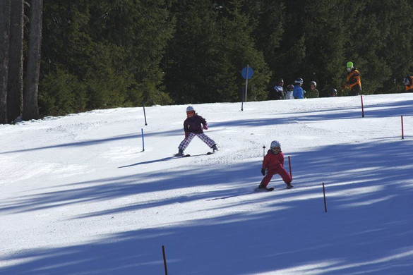 _MG_2256.jpg