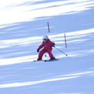 _MG_2260.jpg