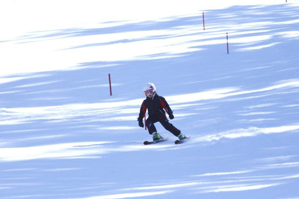 _MG_2269.jpg