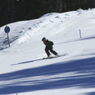 _MG_2293.jpg