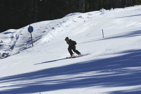 _MG_2293.jpg