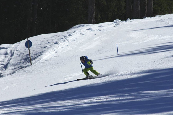 _MG_2304.jpg