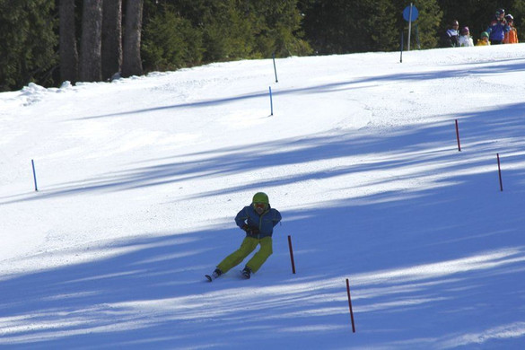 _MG_2305.jpg