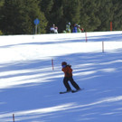 _MG_2331.jpg