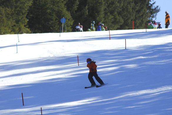 _MG_2331.jpg