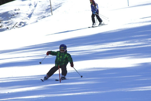 _MG_2346.jpg