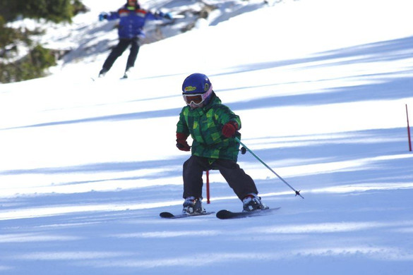 _MG_2349.jpg