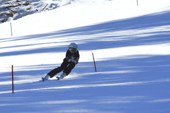 _MG_2381.jpg