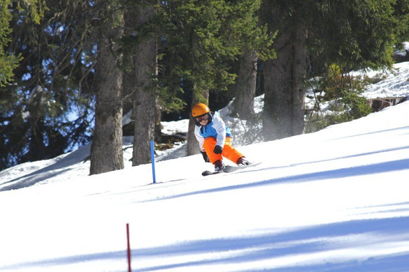 _MG_2397.jpg