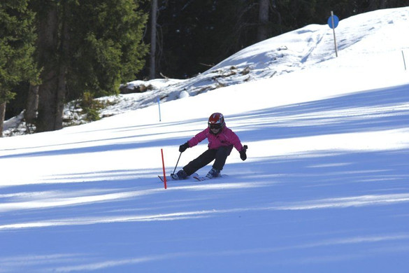 _MG_2443.jpg