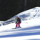 _MG_2470.jpg