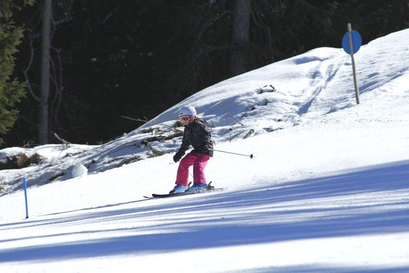 _MG_2470.jpg