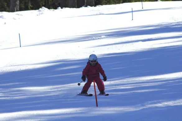 _MG_2475.jpg