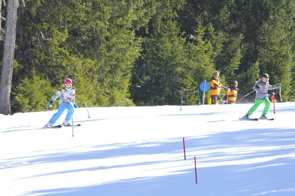 _MG_2498.jpg