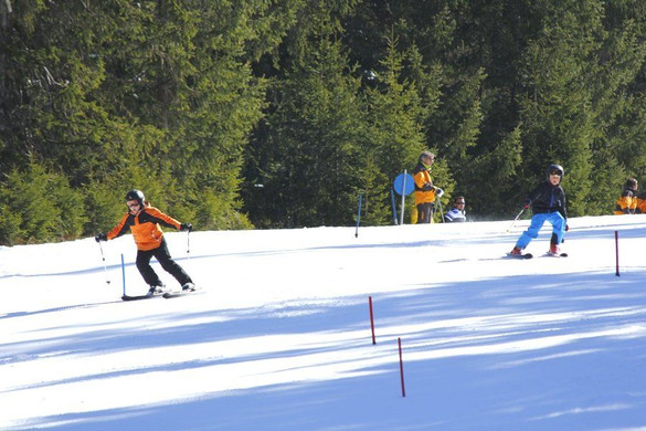 _MG_2518.jpg
