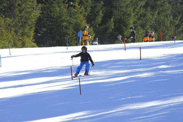 _MG_2520.jpg