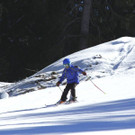 _MG_2550.jpg