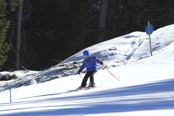 _MG_2550.jpg