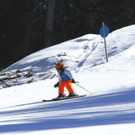 _MG_2562.jpg