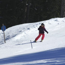 _MG_2583.jpg