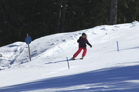 _MG_2583.jpg