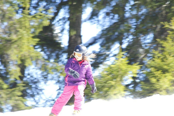 _MG_2594.jpg
