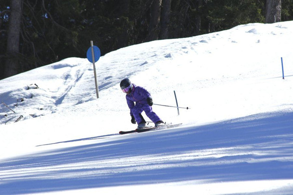 _MG_2625.jpg