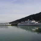 Bild 050_jpg-1270995851