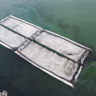 O__leinsatz Hafen25.jpg