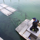 O__leinsatz Hafen23.jpg