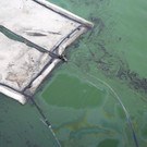 O__leinsatz Hafen24.jpg